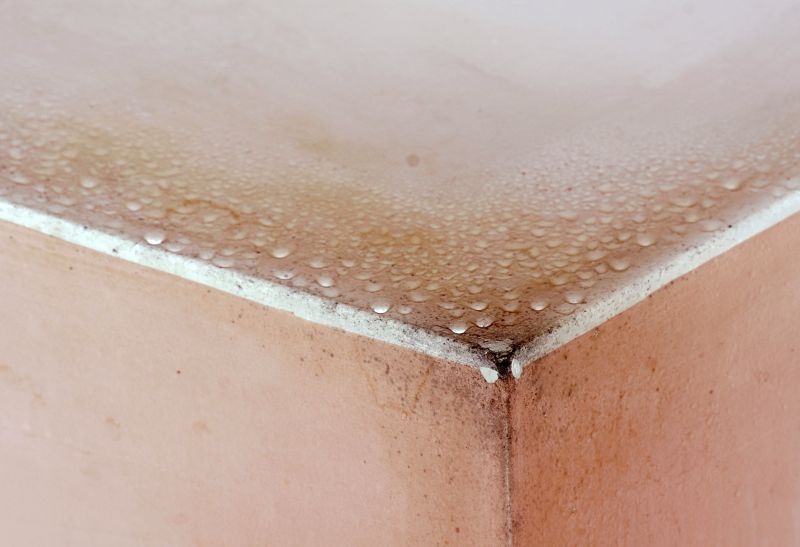 Garage Mold Remediation in Frisco, TX