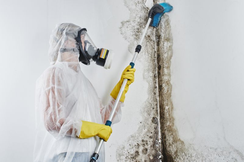 Mold Removal in Bergen County, NJ