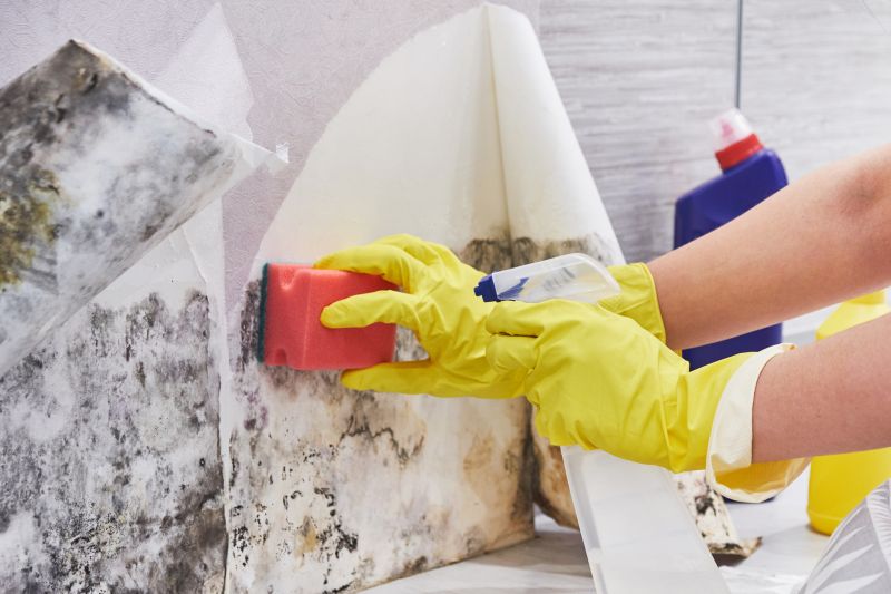 Mold Restoration in Fort Lauderdale, FL