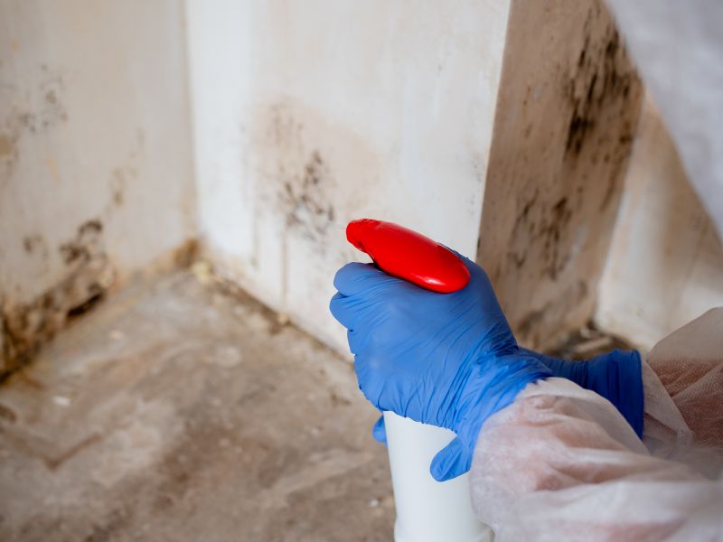 Mold Treatment Service in West Palm Beach, FL