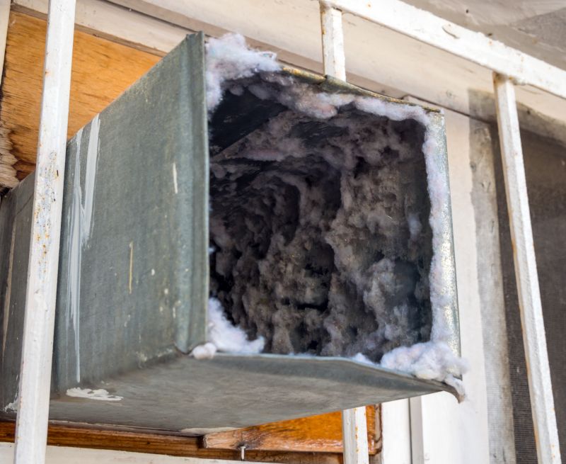 Air Duct Mold Removal in Essex County, NJ