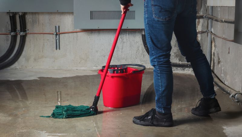 Basement Cleaning Service in Renton, WA