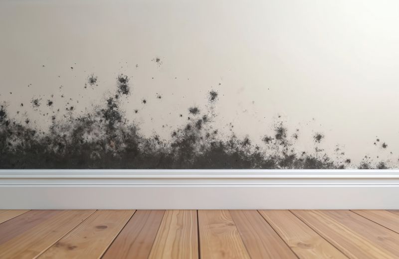 Black Mold Remediation in Fort Worth, TX