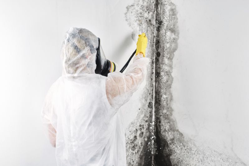 Black Mold Remediation in Boca Raton, FL