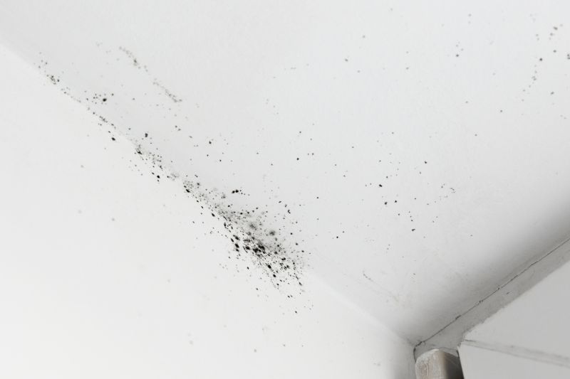Ceiling Mold Removal in Bergen County, NJ