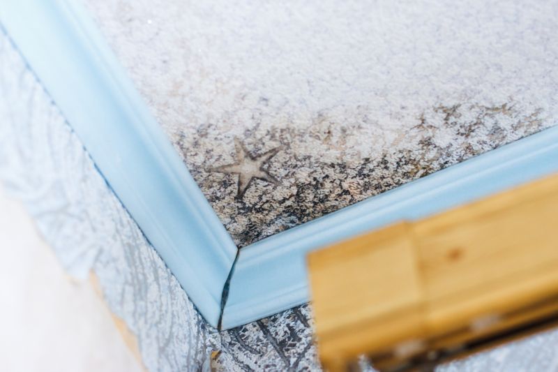 Ceiling Mold Removal in Jupiter, FL