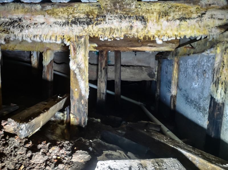Crawl Space Mold Removal in Bergen County, NJ