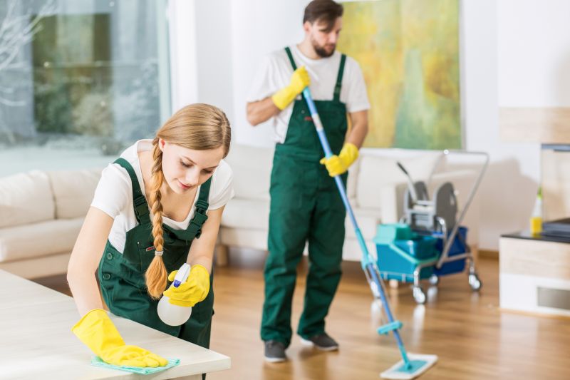 Move Out Cleaning Services detail