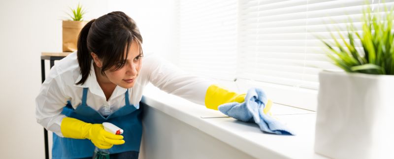 Move Out Cleaning Services detail