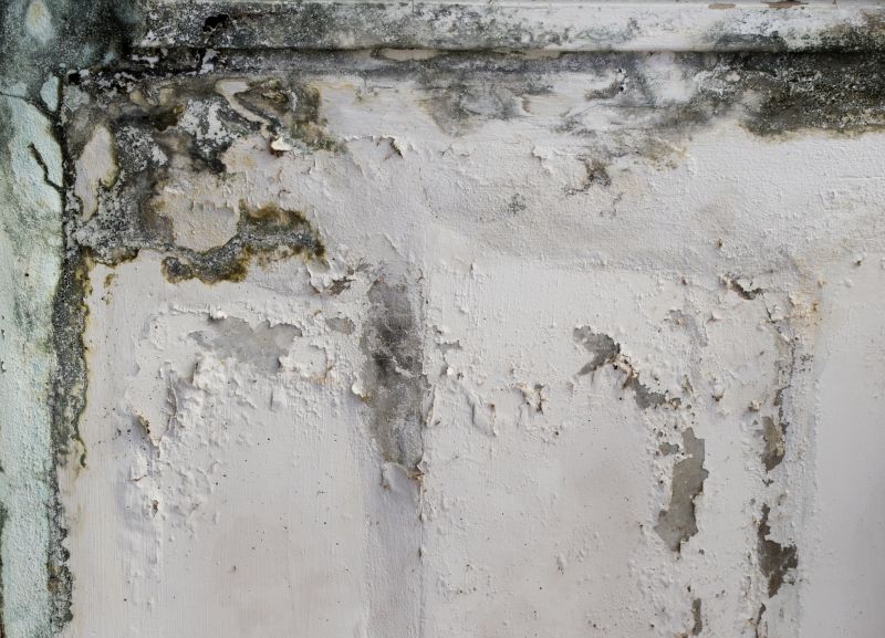 Garage Mold Remediation in Fort Worth, TX