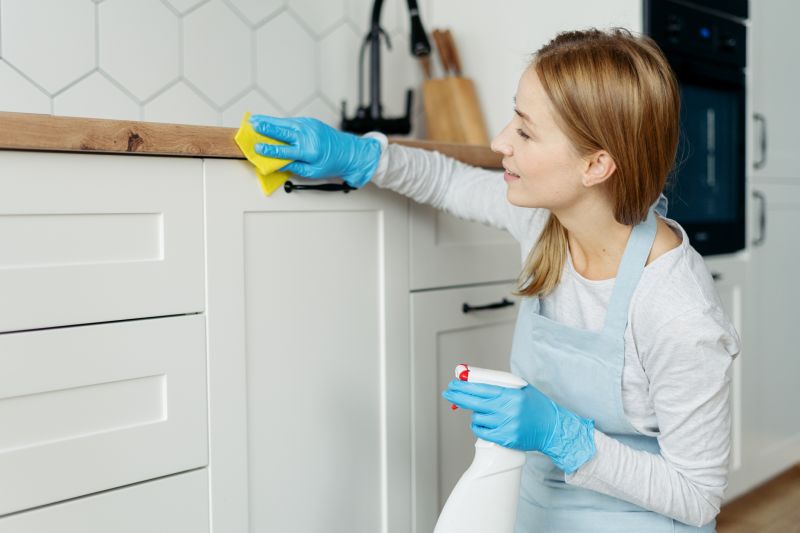 Kitchen Cleaning in Puyallup, WA