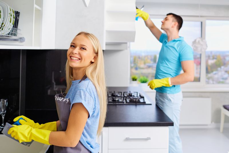 Kitchen Cleaning in Bellevue, WA