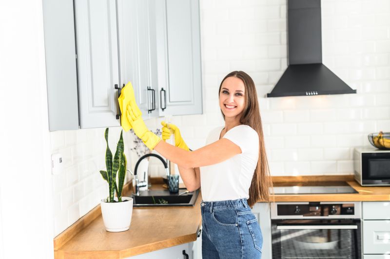 Kitchen Cleaning in Kent, WA