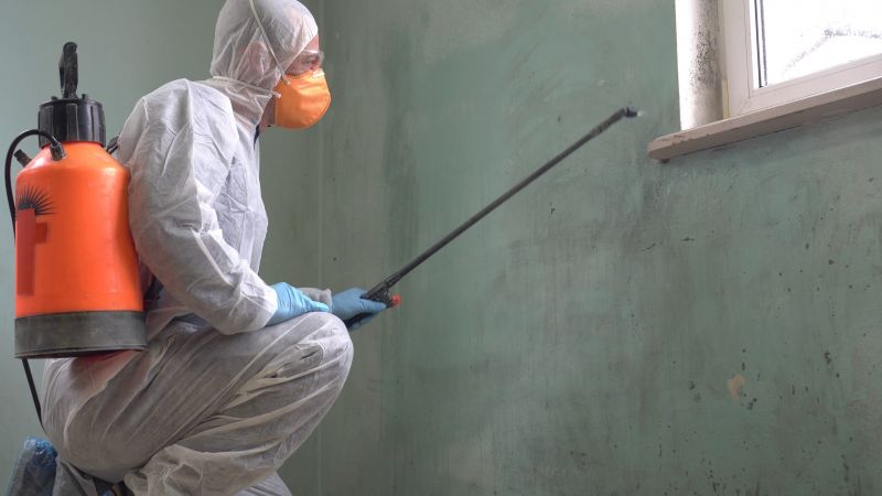Mold Abatement in Essex County, NJ