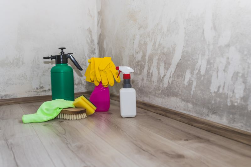 Mold Cleanup Service in Fort Worth, TX