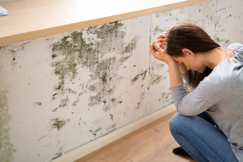 Mold Detection in Boca Raton, FL