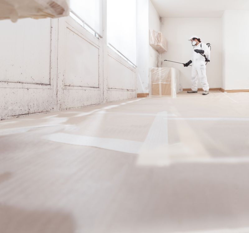 Mold Remediation Service in Bergen County, NJ