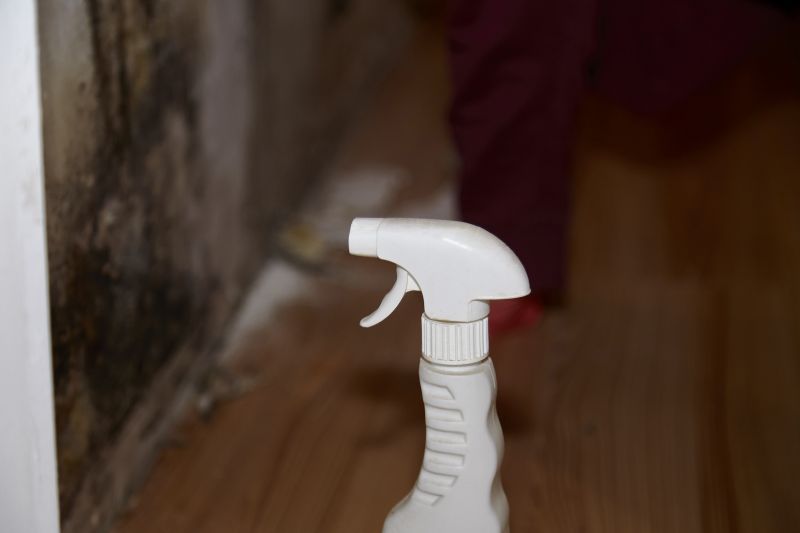 Mold Restoration in Broward County, FL