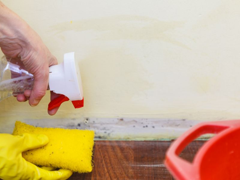 Mold Restoration in Bergen County, NJ