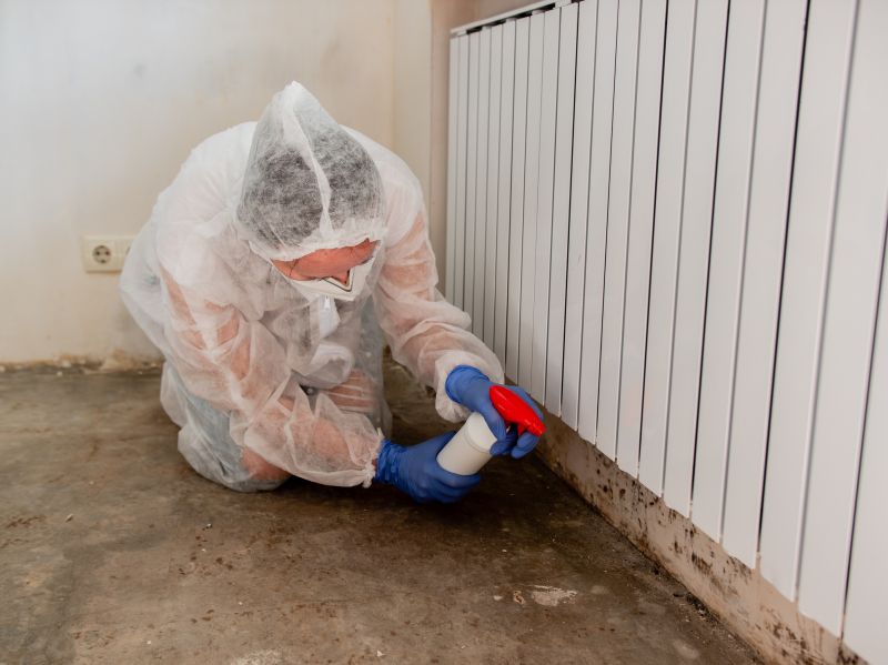 Mold Restoration in Frisco, TX