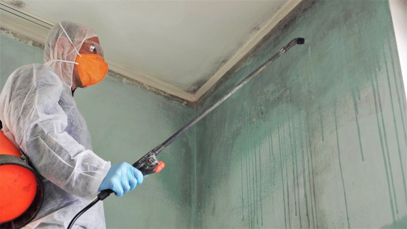 Mold Restoration in Jupiter, FL