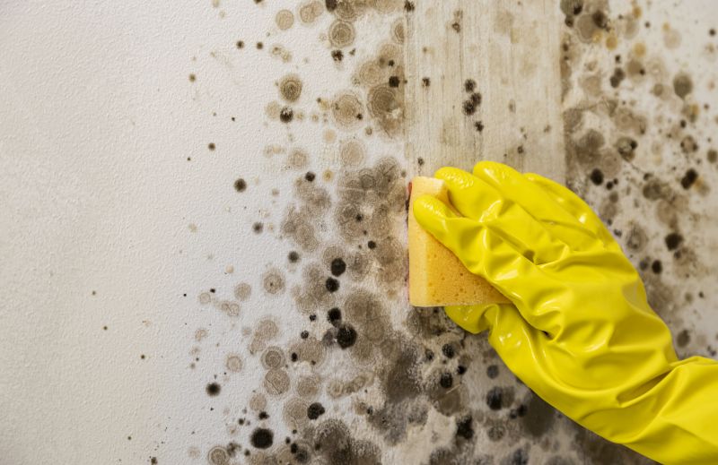 Mold Restoration in Essex County, NJ