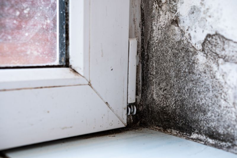 Mold Treatment Service in Jupiter, FL