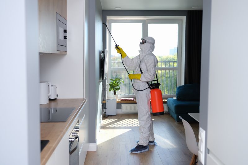 Mold Treatment Service in Frisco, TX