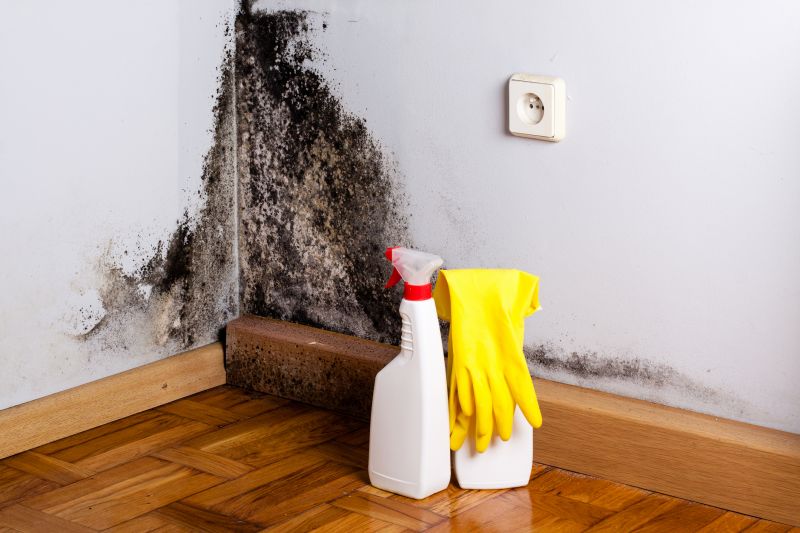 White Mold Mitigation in Jupiter, FL