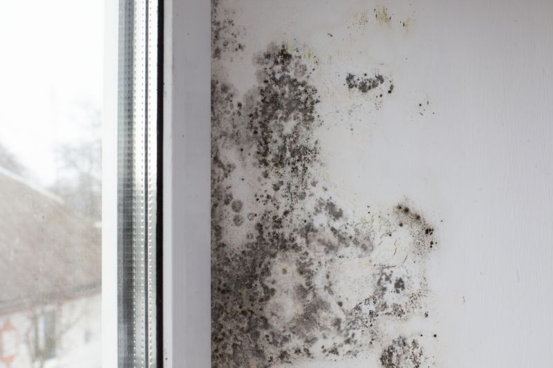 White Mold Mitigation in Bergen County, NJ